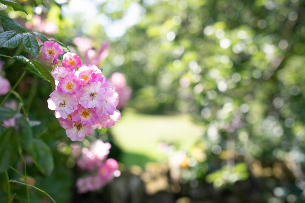 West Cottage, Southlands Farm, Gunnerton Hexham Ngoại thất bức ảnh