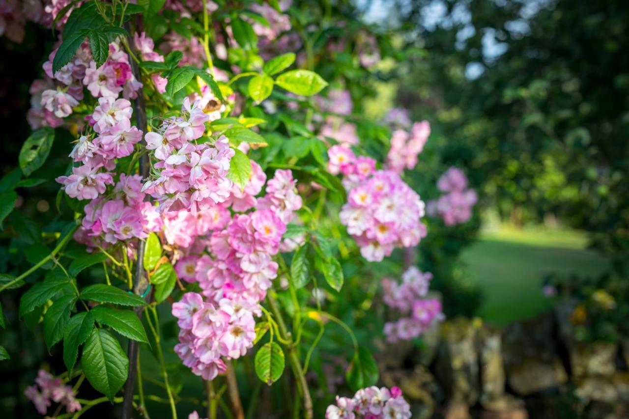 West Cottage, Southlands Farm, Gunnerton Hexham Ngoại thất bức ảnh
