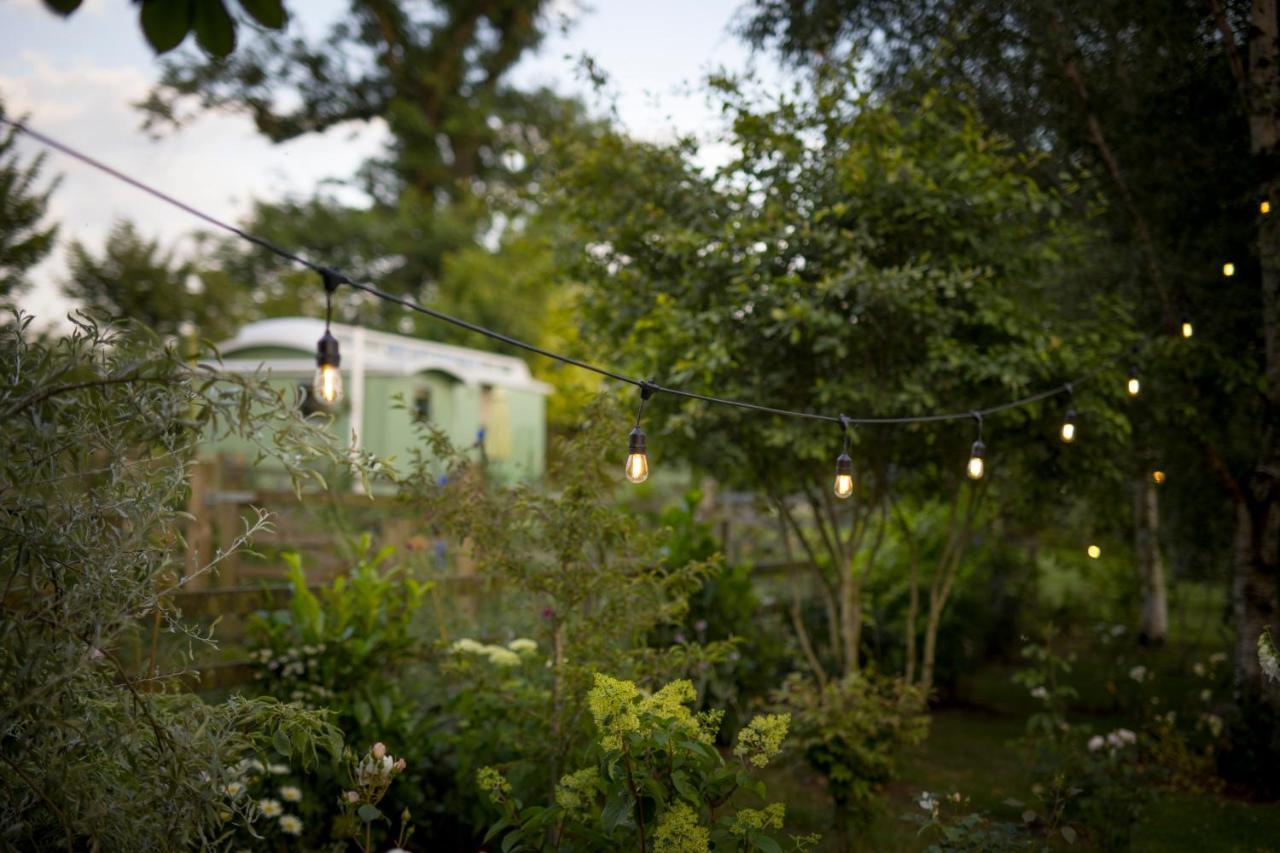 West Cottage, Southlands Farm, Gunnerton Hexham Ngoại thất bức ảnh
